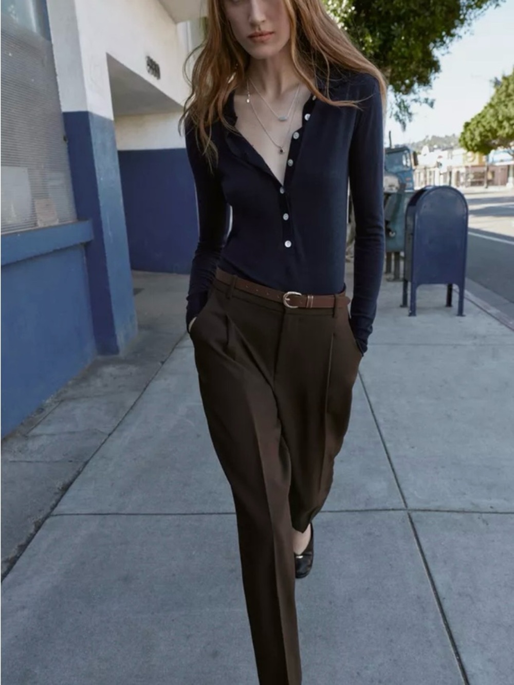 Zara Dark Brown High-Waist Pleated Trousers